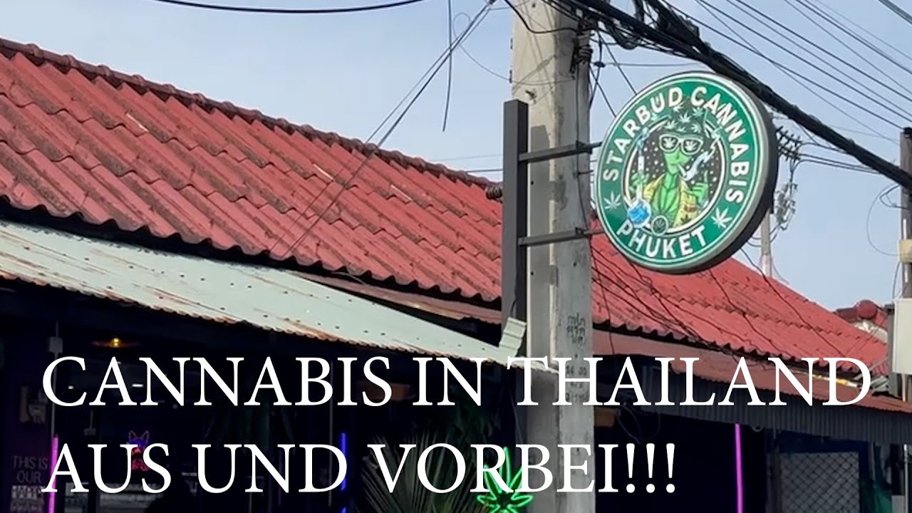 Cannabis Thailand🇹🇭 – Bild 1