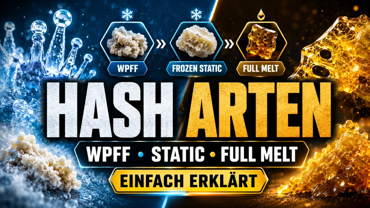 YouTube-Thumbnail mit Hash-Arten im Vergleich: WPFF, Frozen Static und Full Melt auf blau-goldenem Hintergrund.