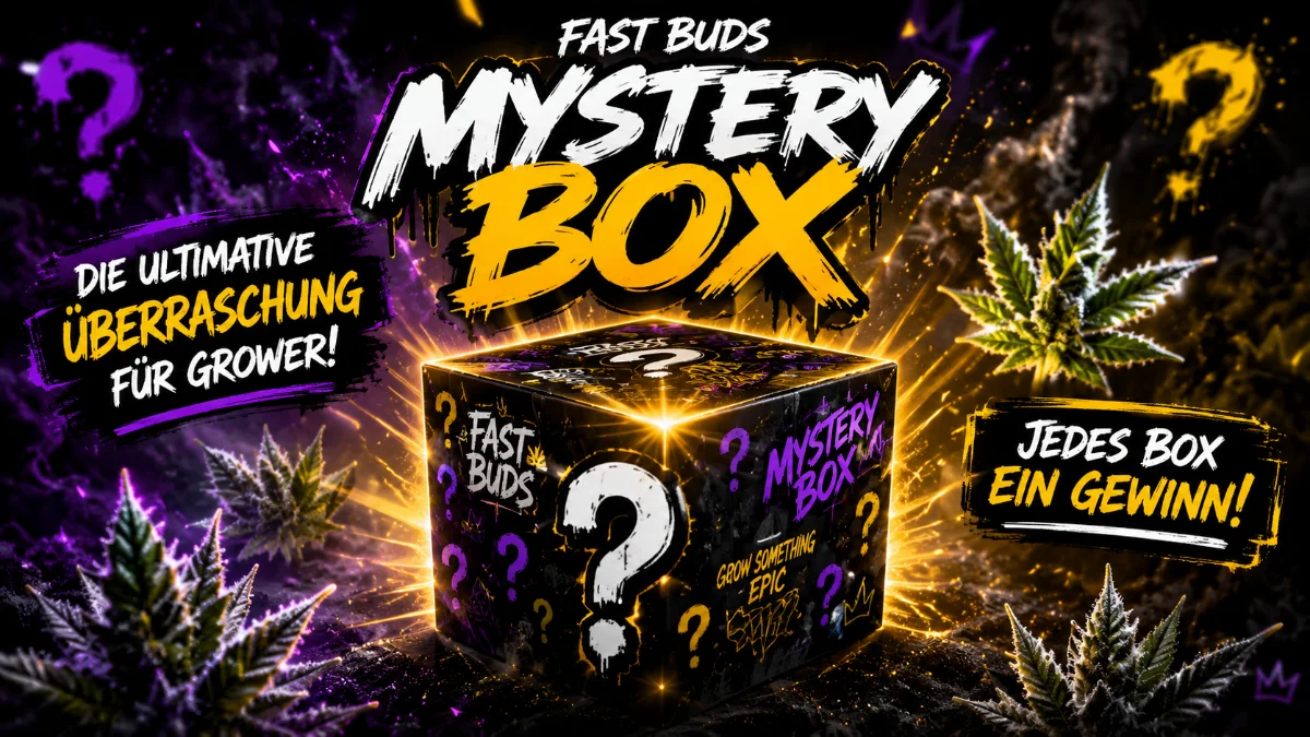 Fast Buds Mystery Box YouTube-Thumbnail mit leuchtender Überraschungsbox, Cannabisblättern und Hinweisen zur Mystery Box Aktion.