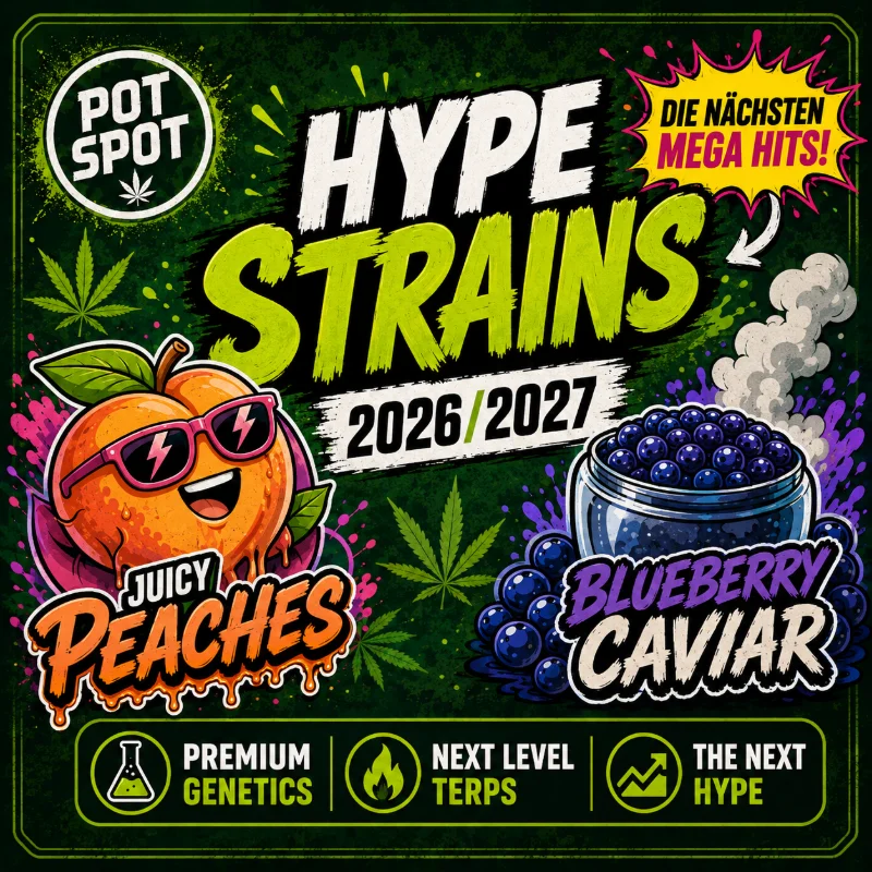 Cannabis Hype Strains 2026/2027 mit Black Maple, Toad Venom, John Truffolta, Blueberry Caviar, Moroccan Peaches, Brain Wash und Scented Marker sowie Trend-Genetiken wie Sherbanger, Blueberry, Lemon Tree, GMO, Chem, OZ Kush, Z und Permanent Marker – die spannendsten neuen Cannabis-Genetiken im Überblick.