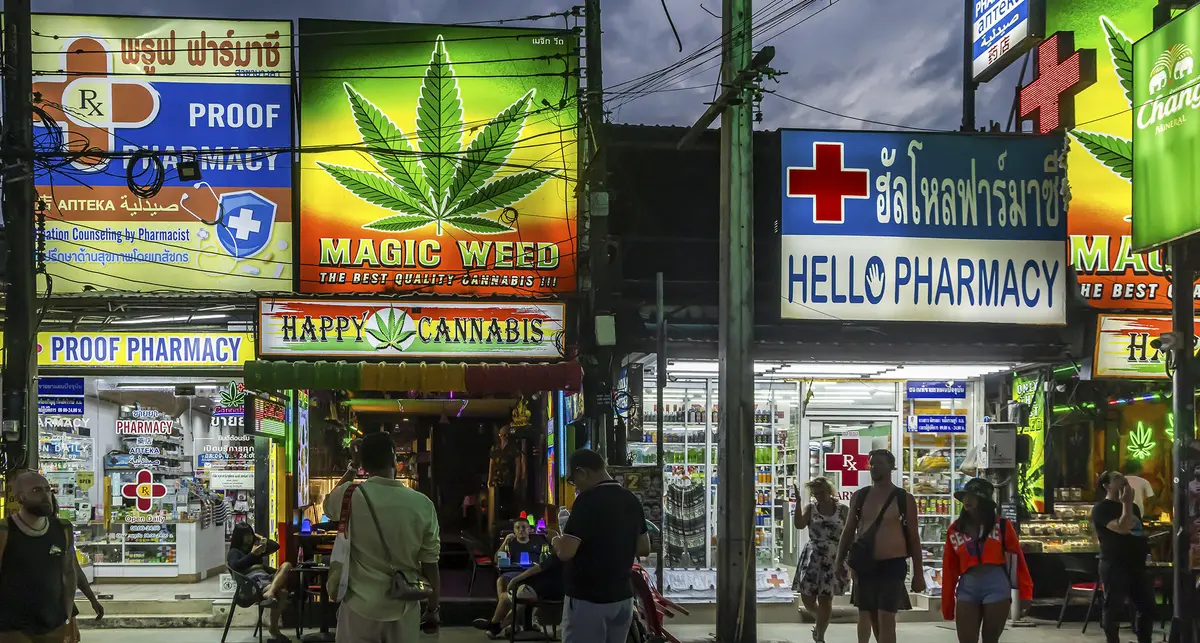 Cannabis Thailand🇹🇭