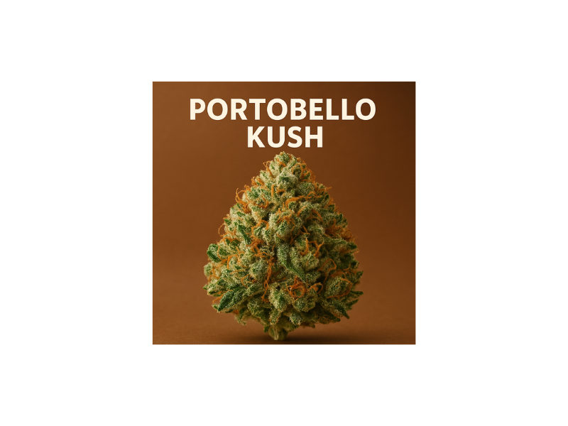 Illustration von Portobello Kush einem neuen Cannabis Strain mit Pilzaroma als Beitragsbild für den Blogartikel von potspot.info