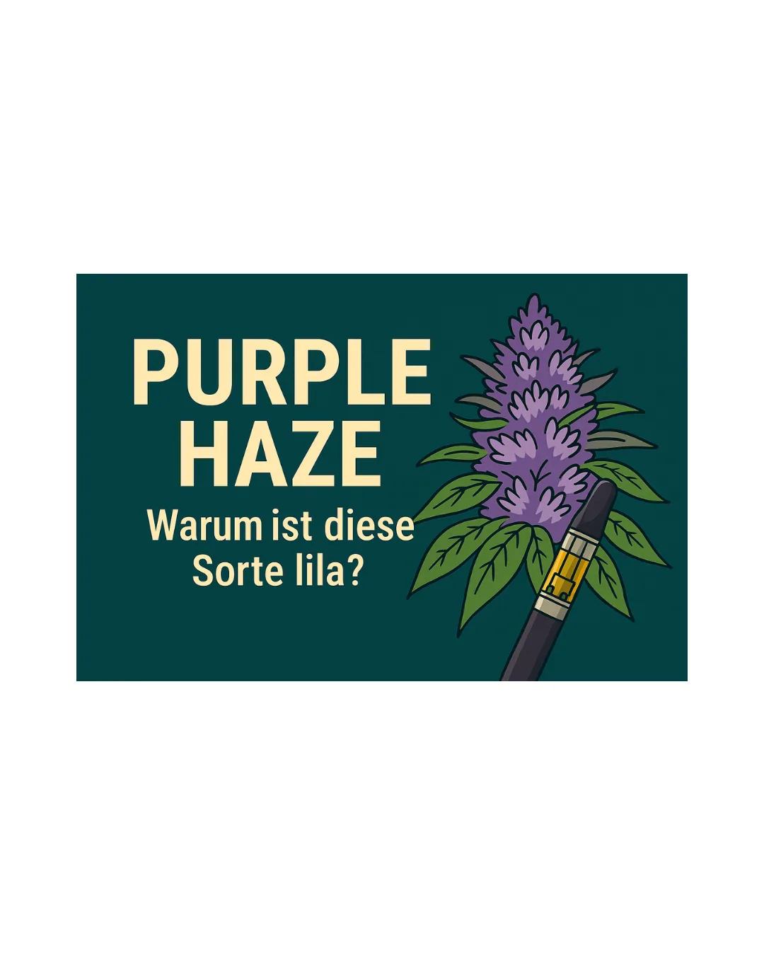 "Digitale Illustration von Purple Haze Cannabisblüten mit auffälliger violetter Färbung, symbolisch für die berühmte Cannabissorte Purple Haze."