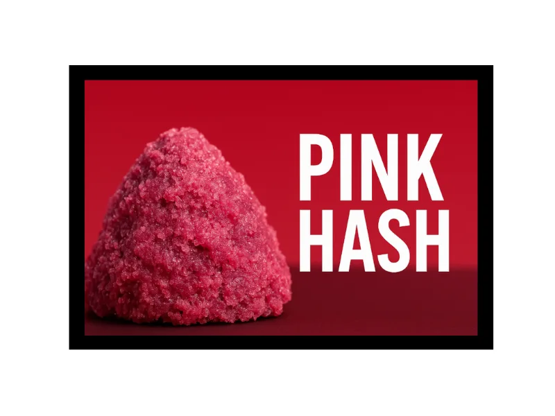 Die ultimativen Cannabis-Sorten für rosa Hash-Produktion Blogbeitragsbild von Strainlexikon auf PotSpot.info