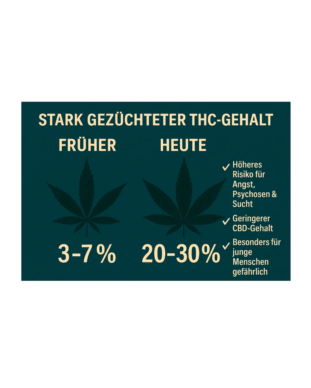 „Digitale Infografik im Querformat zeigt den Vergleich zwischen Cannabis-Pflanzen mit niedrigem THC-Gehalt früherer Jahrzehnte und modernen, hochgezüchteten Sorten mit extrem hohem THC-Anteil. Symbole für Risiken wie Angst, Abhängigkeit und psychische Belastungen verdeutlichen die Gefahren.“