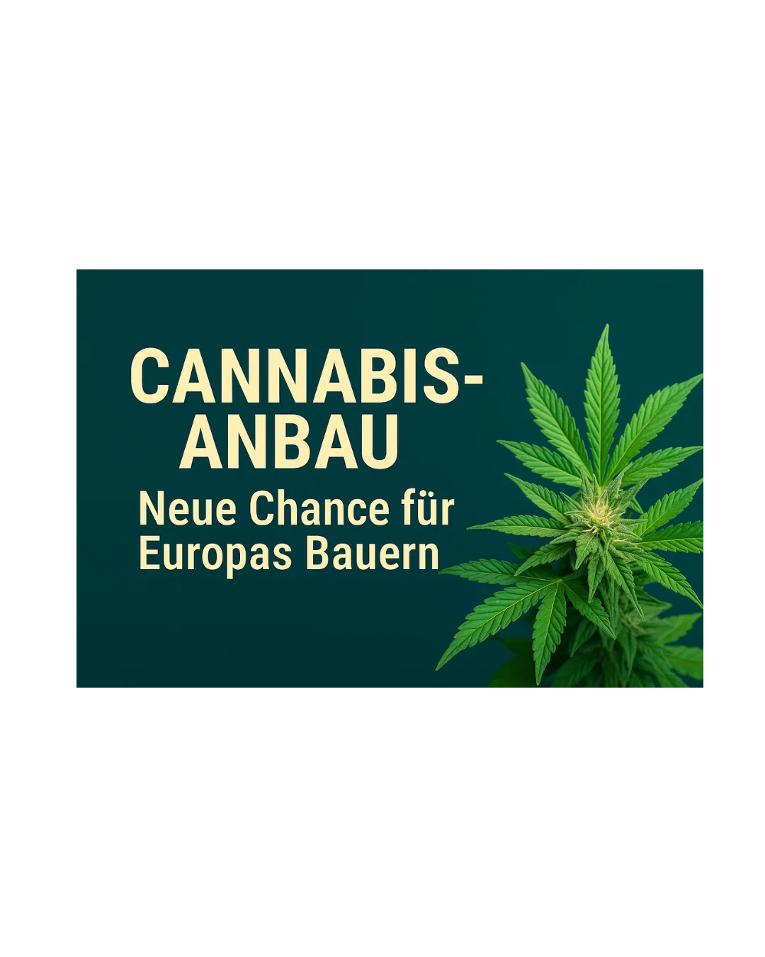 „Ein digitales Creative zeigt eine Kombination aus Text und grafischen Elementen mit einer Hanfpflanze und Symbolen für Landwirtschaft und Wachstum. Es verdeutlicht die wirtschaftlichen Chancen für europäische Bauern durch den Anbau von CBD und Cannabis.“ 🌱📈