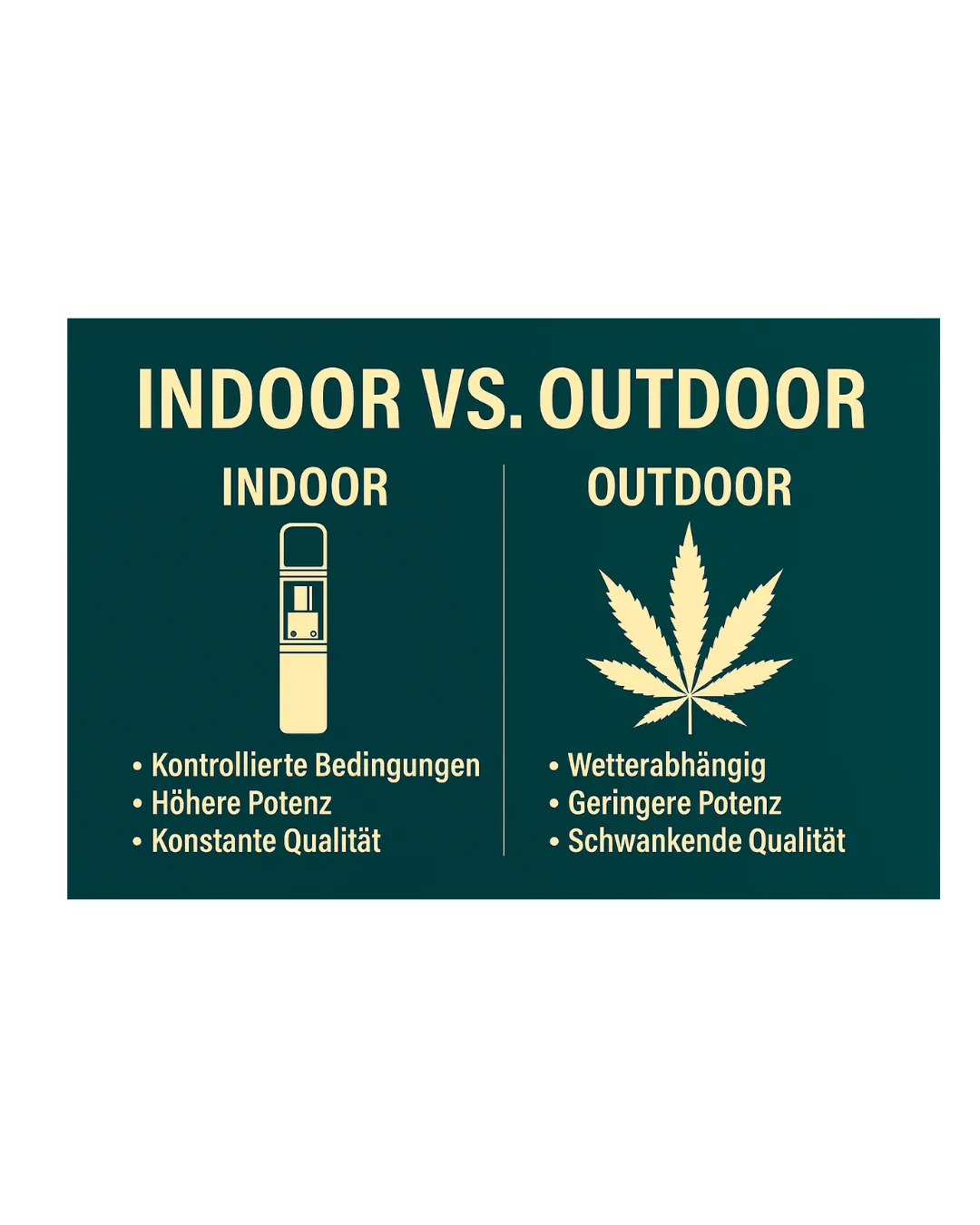Infografik zeigt Vergleich von Indoor- und Outdoor-CBD: Indoor CBD mit kontrolliertem Anbau, hoher Reinheit und stärkerer Wirkung gegenüber Outdoor-Pflanzen.“