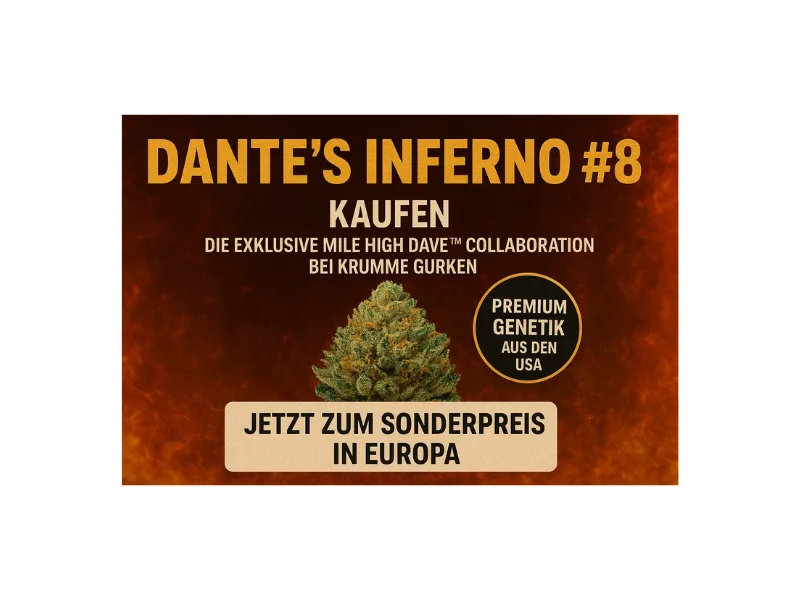 Dante's Inferno #8 Cannabis Steckling Mile High Dave Krumme Gurken kaufen