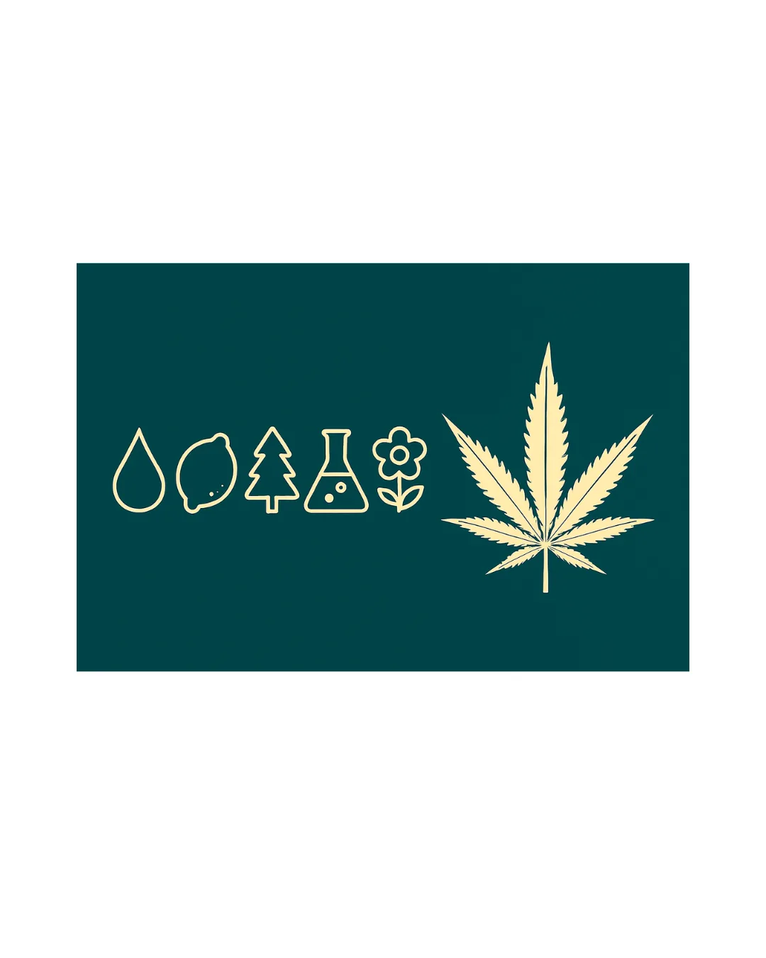 „Nahaufnahme einer modernen Cannabispflanze mit lila Schimmer, die für hochwertige CBD-Sorten steht – Symbol für die Zukunft der CBD-Züchtung.“