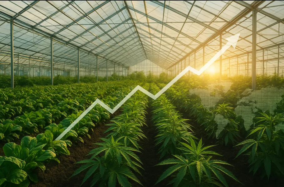 Alt: Übersicht von Village Farms International, führendem Unternehmen in kontrollierter Landwirtschaft und Cannabisproduktion, Oktober 2025