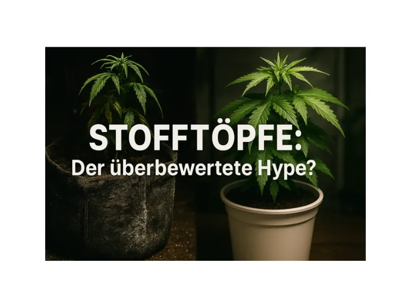 Vergleich zwischen zwei Cannabispflanzen: links eine schwache, vertrocknete Pflanze in einem Stofftopf mit Salzrückständen, rechts eine gesunde Pflanze in einem klassischen Plastiktopf – symbolisch für die Frage, ob Stofftöpfe wirklich sinnvoll sind oder nur ein überbewerteter Hype.