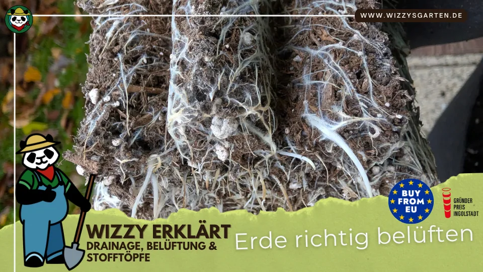 ChatGPT:Nahaufnahme eines durchwurzelten Erdblocks mit weißen gesunden Wurzeln daneben die Figur Wizzy mit Spaten Text im Bild Wizzy erklärt Drainage Belüftung und Stofftöpfe Erde richtig belüften im Hintergrund eine natürliche Gartenumgebung