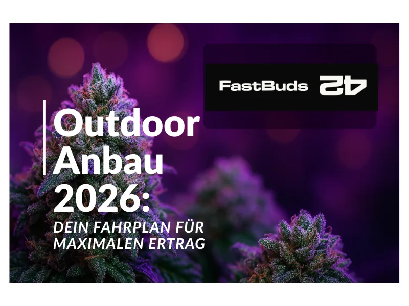 Fast Buds Autoflower Cannabis Outdoor Anbau Deutschland - Premium Buds  Fastbuds Logo