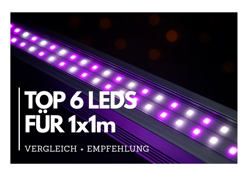 Top 6 Leds für 1x1m Grow Komplett Set Guide. Growset selbst zusammen stellen.