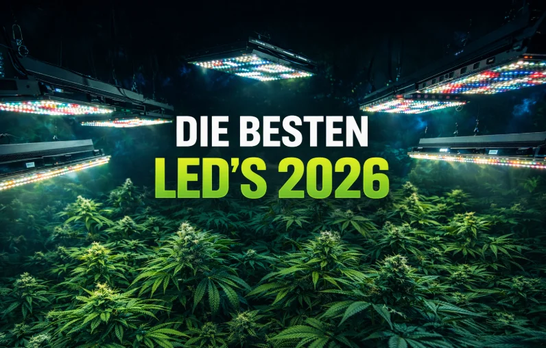 Die besten LED Grow Lampen 2026 im Indoor Grow Zelt mit moderner Vollspektrum Pflanzenbeleuchtung, effiziente LED Pflanzenlampen für Indoor Anbau und hohe Erträge