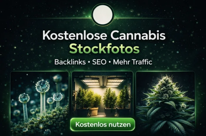 kostenlosen Cannabis Stockfotos mit Trichomen, Indoor Grow und SEO-Text „Kostenlose Cannabis Stockfotos – Backlinks, SEO, mehr Traffic“ auf dunklem Hintergrund.