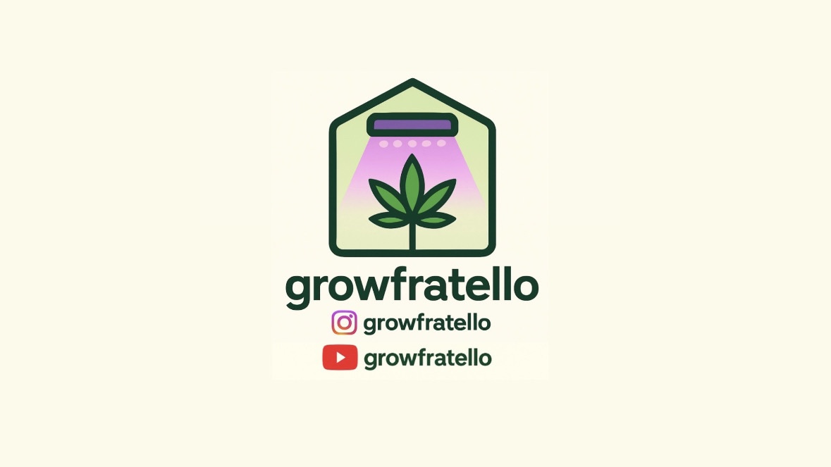 Growfratello