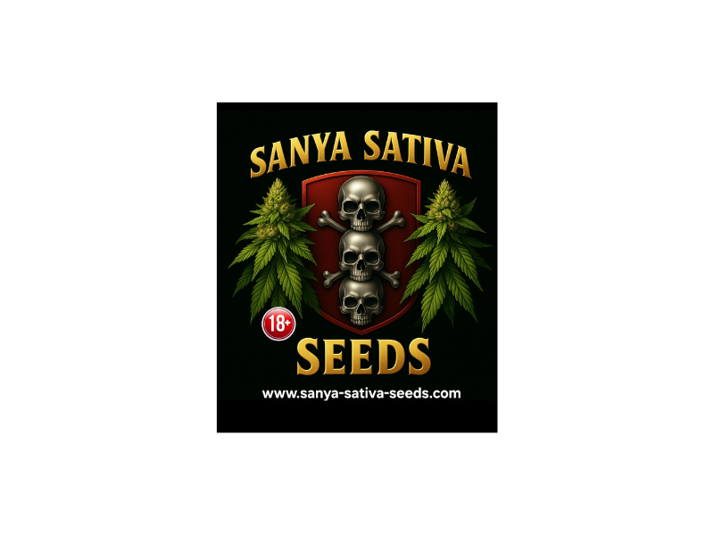 Sanya Sativa Seeds