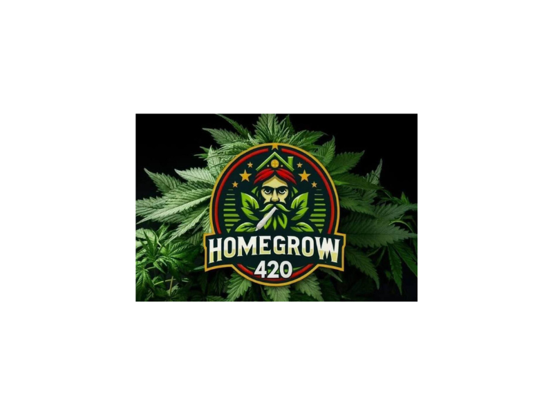 HomeGrow für Anfänger