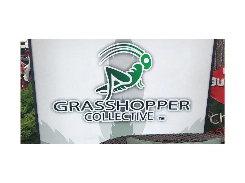 Grasshopper - Pattaya