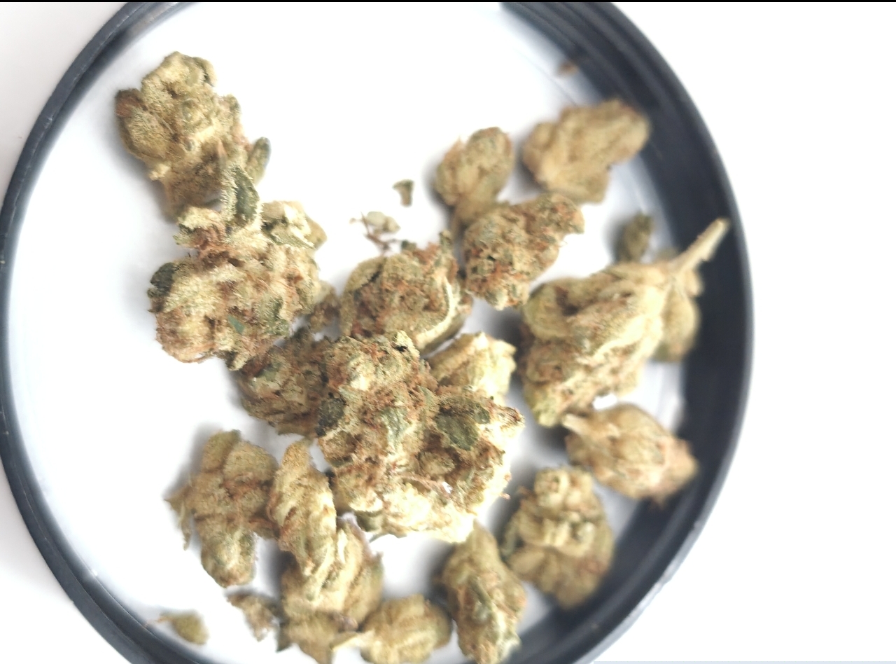 Tangie Vayamed