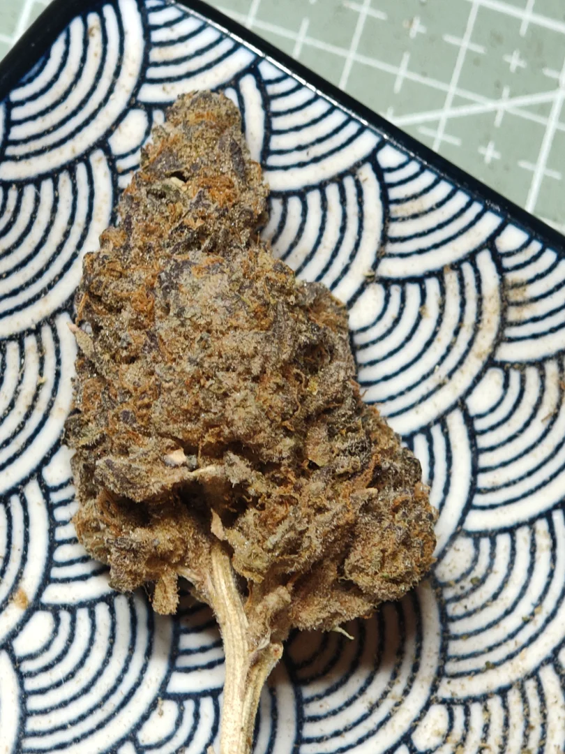 Meat Breath Remexian