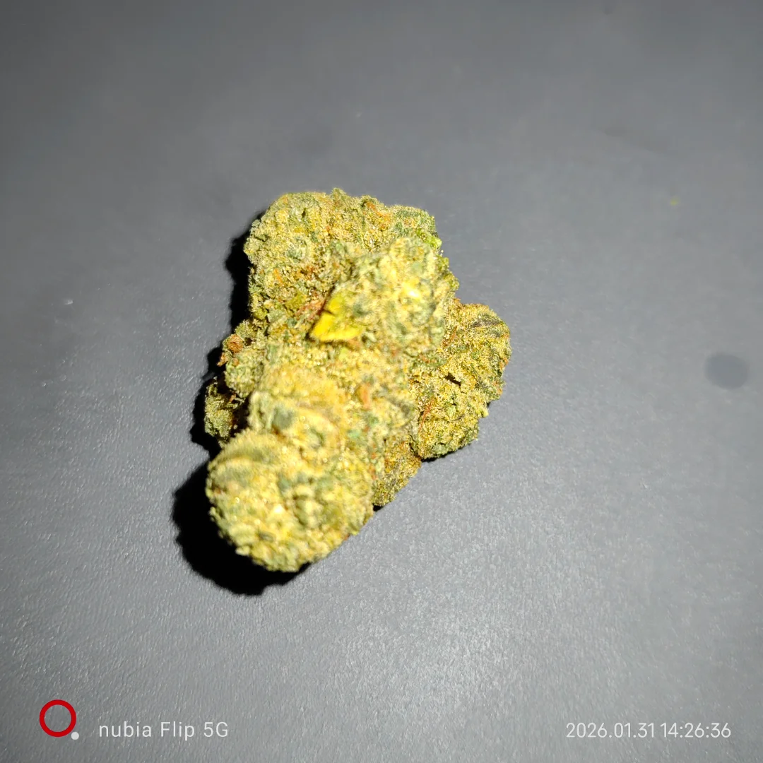 TRG GMO Tropical Gelato NICE