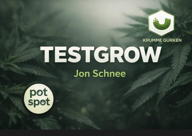 Jon Schnee