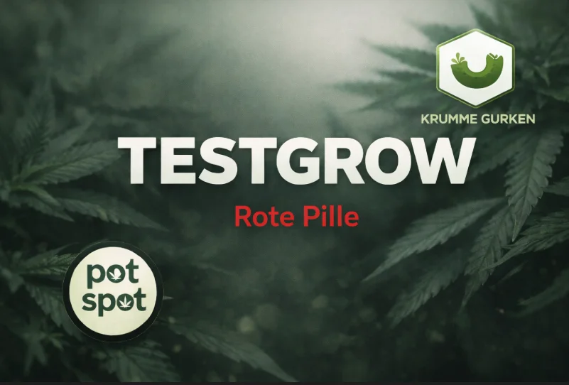 Autoflower - Rote Pille